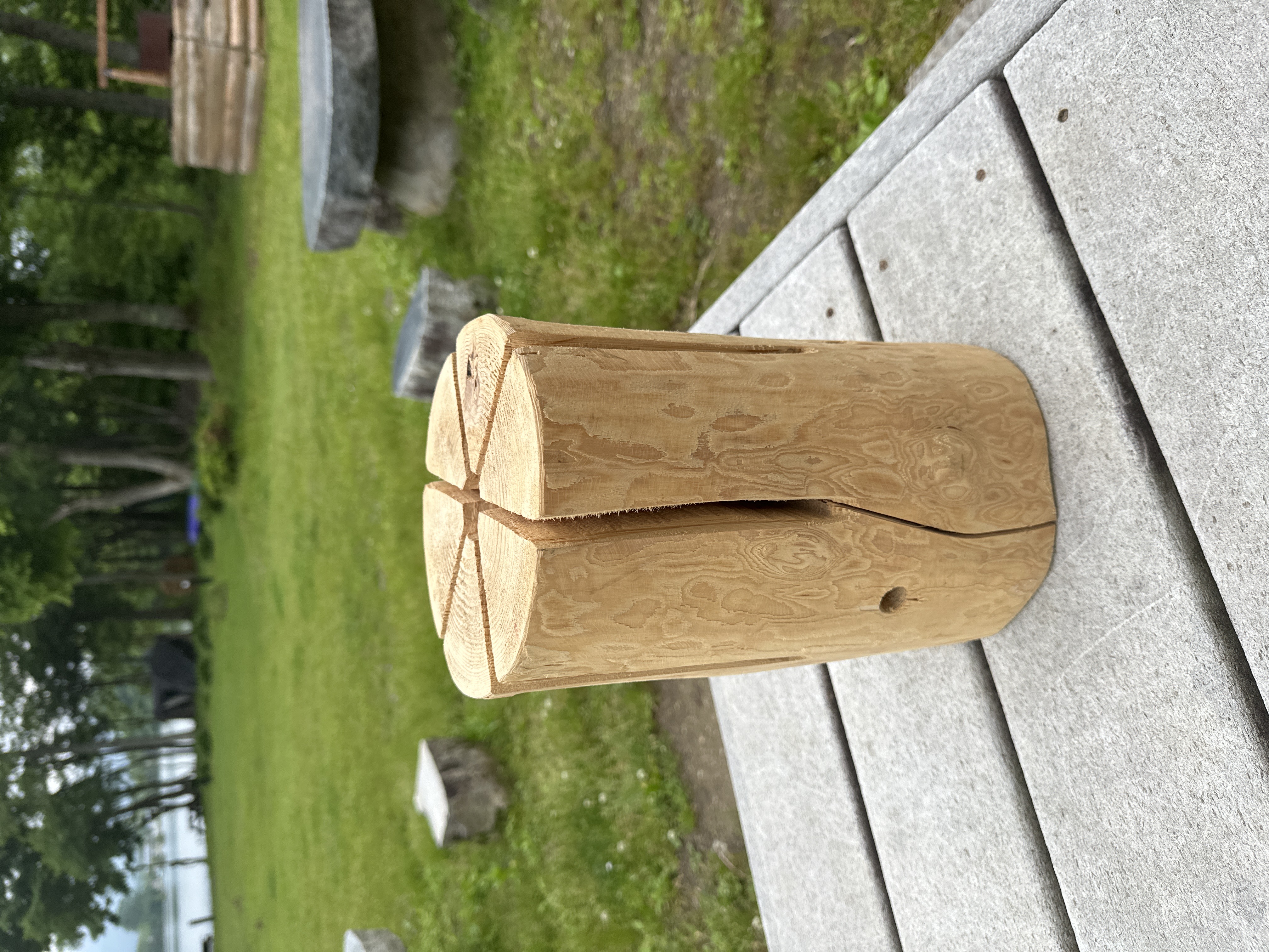 スウェーデントーチ